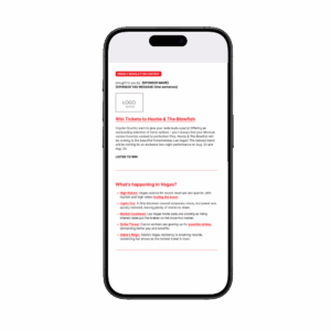 newsletter advertising